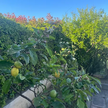Casa Con Giardino A Pochi Passi Dalla 아파트