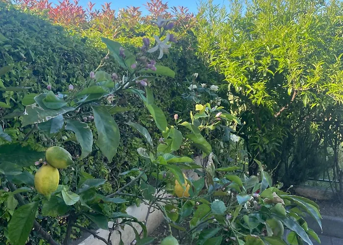 Casa Con Giardino A Pochi Passi Dalla Apartment